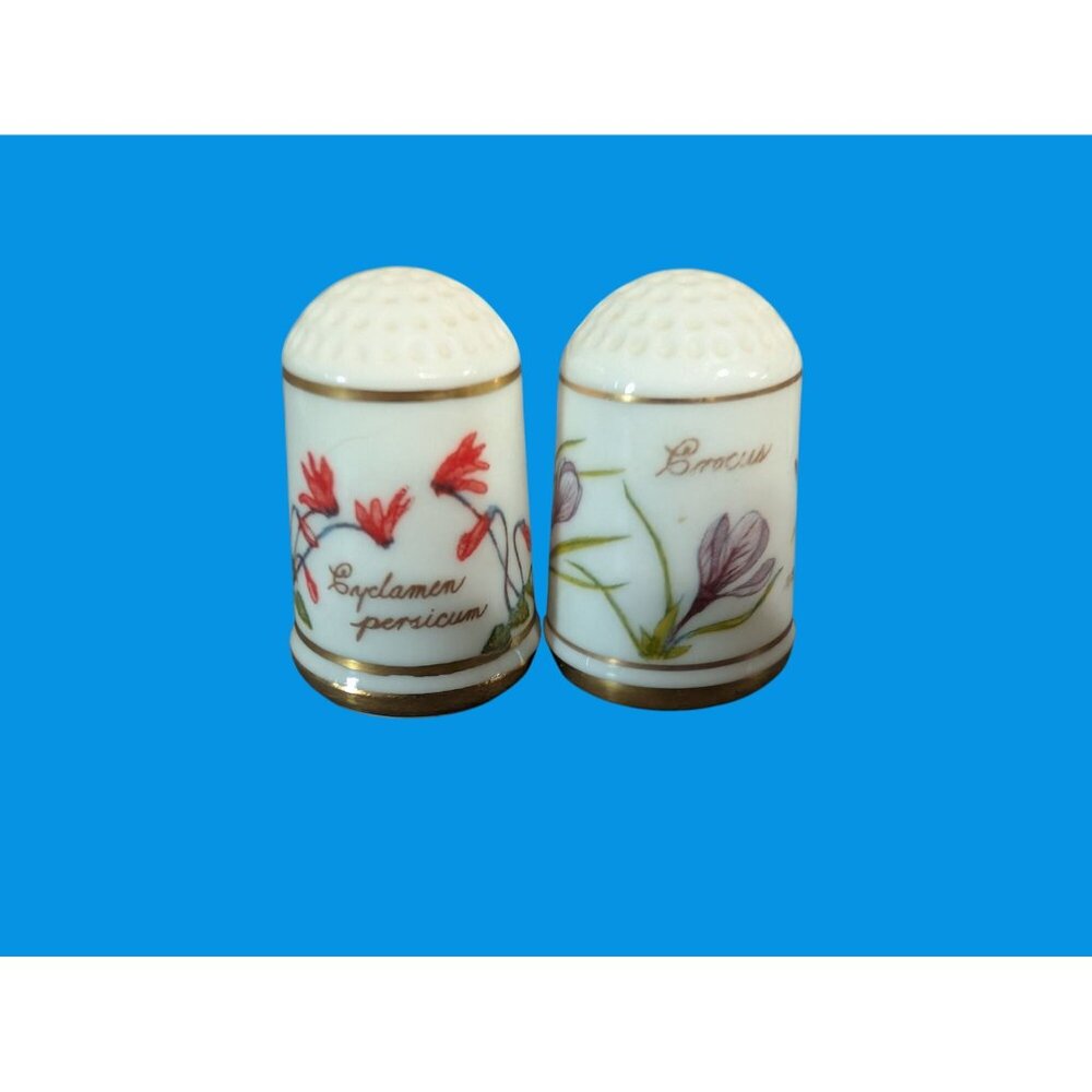 Vintage 1978 Set of 12 Flower Thimbles Franklin Porselein Bloemen Van Nederland - Picture 5 of 9